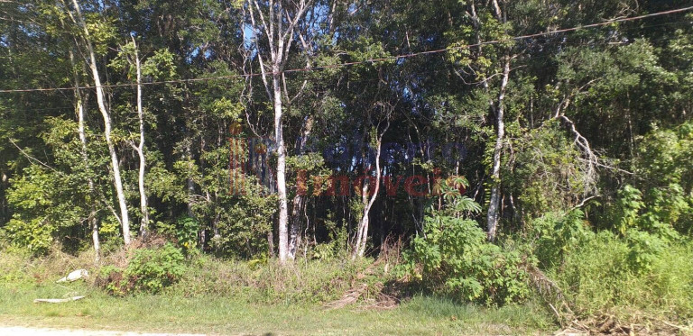 Imagem Terreno à Venda, 360 m² em Itamar - Itapoá Imagem Terreno à Venda, 360 m² em Itamar - Itapoá