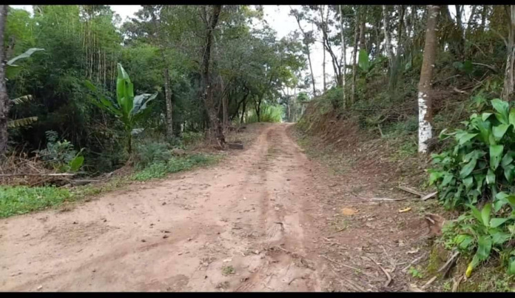 Imagem Chácara com 2 Quartos à Venda, 116 m² em Conselheiro Paulino - Nova Friburgo Imagem Chácara com 2 Quartos à Venda, 116 m² em Conselheiro Paulino - Nova Friburgo