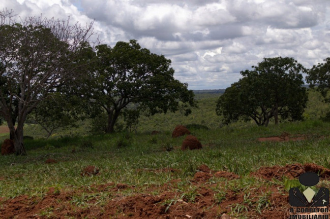 Imagem Imóvel à Venda, 20.000 m² em Fazendinhas Guará - Jequitibá Imagem Imóvel à Venda, 20.000 m² em Fazendinhas Guará - Jequitibá