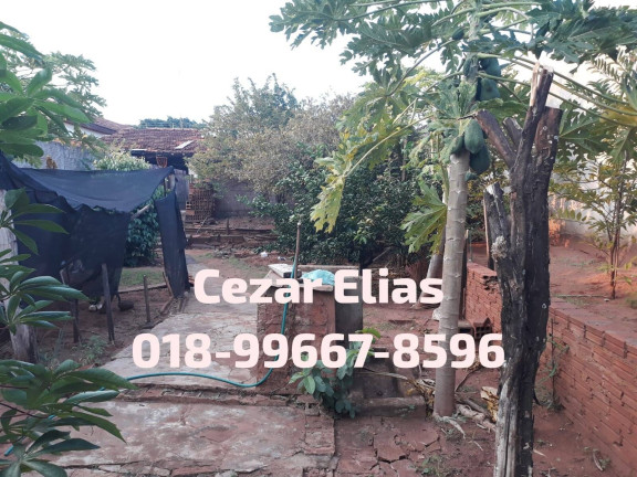 Imagem Casa com 2 Quartos à Venda, 400 m² em Andradina Imagem Casa com 2 Quartos à Venda, 400 m² em Andradina