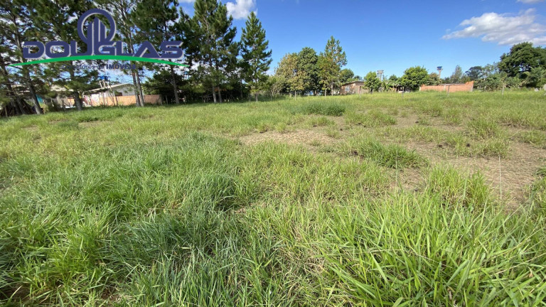 Imagem Terreno à Venda, 360 m² em Viamão Imagem Terreno à Venda, 360 m² em Viamão