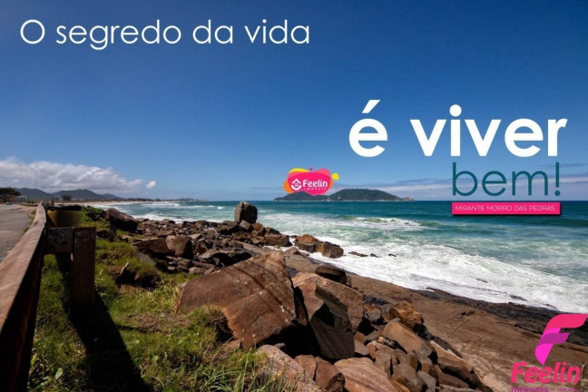 Imagem Chácara com 16 Quartos à Venda, 590 m² em Rio Tavares - Florianópolis Imagem Chácara com 16 Quartos à Venda, 590 m² em Rio Tavares - Florianópolis