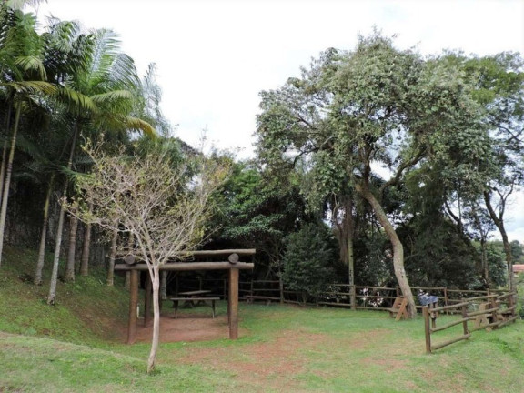 Imagem Imóvel com 5 Quartos à Venda, 321 m² em Aldeia Da Fazendinha - Carapicuíba Imagem Imóvel com 5 Quartos à Venda, 321 m² em Aldeia Da Fazendinha - Carapicuíba