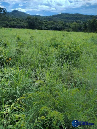 Imagem Fazenda à Venda, 14 m² em Zona Rural - Araguapaz Imagem Fazenda à Venda, 14 m² em Zona Rural - Araguapaz