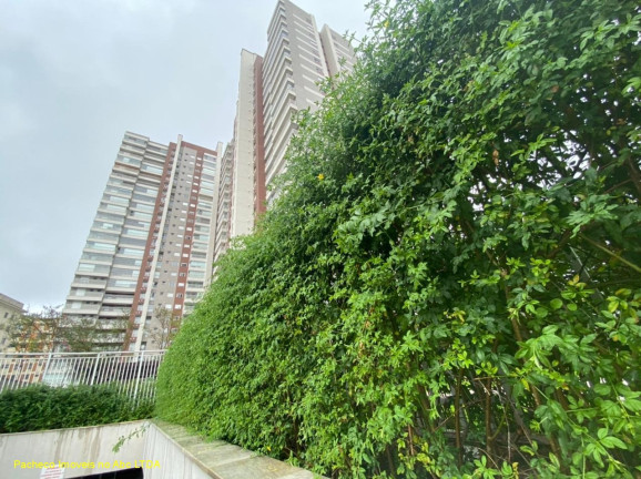 Imagem Apartamento com 3 Quartos à Venda, 127 m² em Centro - São Bernardo Do Campo Imagem Apartamento com 3 Quartos à Venda, 127 m² em Centro - São Bernardo Do Campo