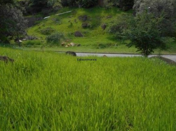 Imagem Terreno à Venda, 2.644 m² em Pinheiro - Valinhos Imagem Terreno à Venda, 2.644 m² em Pinheiro - Valinhos