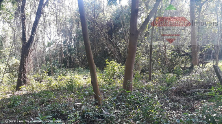 Imagem Chácara à Venda, 200 m² em Loteamento Residencial São Vicente De Paulo - Tremembé Imagem Chácara à Venda, 200 m² em Loteamento Residencial São Vicente De Paulo - Tremembé