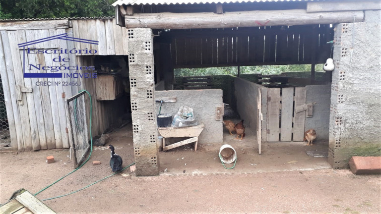 Imagem Imóvel com 3 Quartos à Venda, 120 m² em Cerro Chato - Sentinela Do Sul Imagem Imóvel com 3 Quartos à Venda, 120 m² em Cerro Chato - Sentinela Do Sul