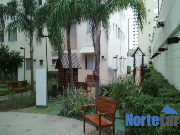 Imagem Apartamento com 2 Quartos à Venda, 48 m² em água Branca - São Paulo Imagem Apartamento com 2 Quartos à Venda, 48 m² em água Branca - São Paulo