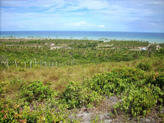 Imagem Terreno à Venda, 100.000 m² em Barra Do Itariri - Conde