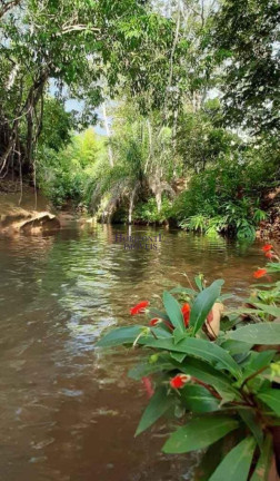 Imagem Imóvel com 5 Quartos à Venda, 130.000 m² em Zona Rural - Bandeirantes Imagem Imóvel com 5 Quartos à Venda, 130.000 m² em Zona Rural - Bandeirantes