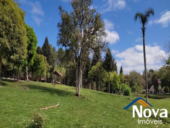 Imagem Imóvel à Venda, em Linha Imperial - Nova Petrópolis Imagem Imóvel à Venda, em Linha Imperial - Nova Petrópolis