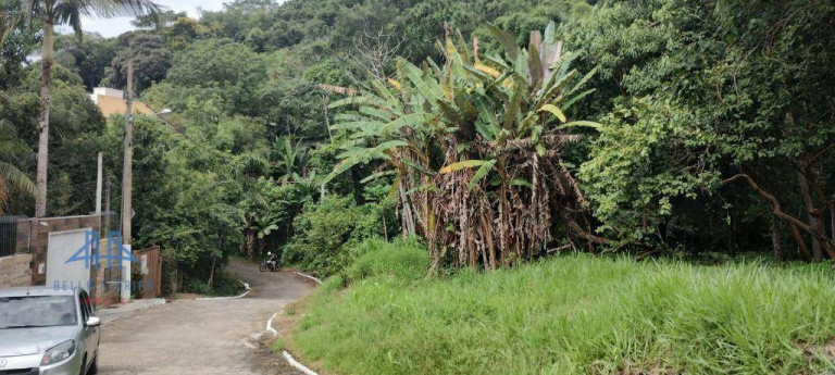 Terreno à Venda, 471 m² em Córrego Grande - Florianópolis