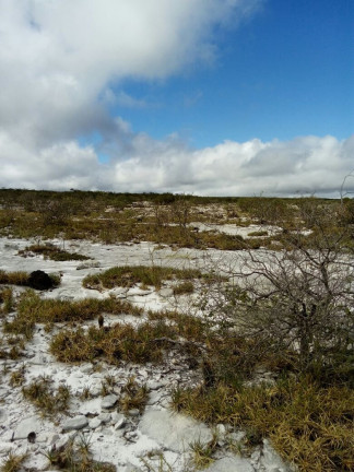 Imagem Fazenda à Venda, 200.000 m² em Zona Rural - Mucugê Imagem Fazenda à Venda, 200.000 m² em Zona Rural - Mucugê