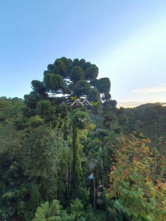 Imagem Apartamento com 3 Quartos à Venda, 141 m² em Vila Alpestre - Campos Do Jordão Imagem Apartamento com 3 Quartos à Venda, 141 m² em Vila Alpestre - Campos Do Jordão