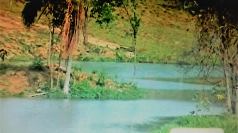 Imagem Fazenda à Venda, 111 m² em Rural - Amparo