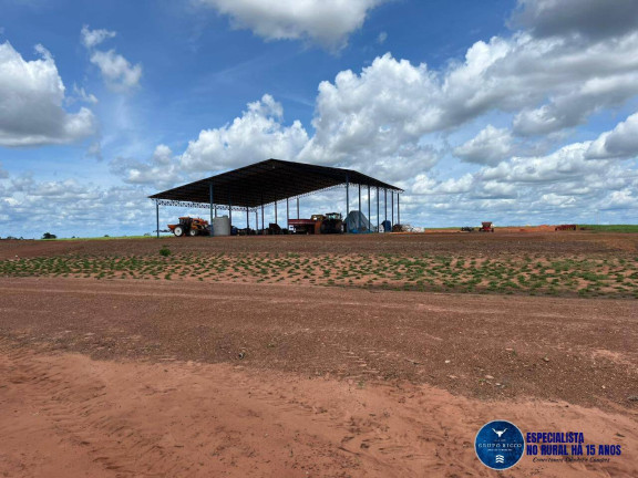 Imagem Fazenda à Venda, 1 m² em Zona Rural - Palmeirante Imagem Fazenda à Venda, 1 m² em Zona Rural - Palmeirante