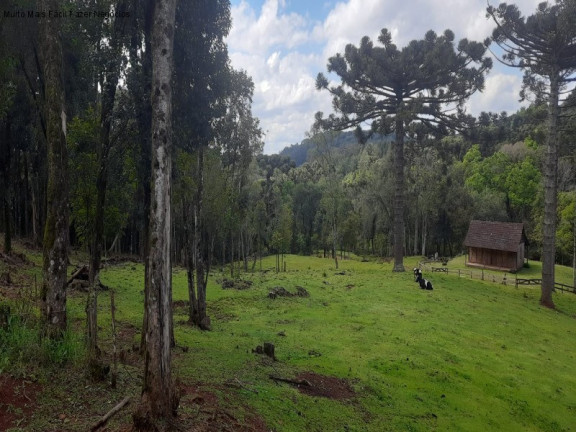 Imagem Terreno à Venda, 2 m² em Linha Imperial - Nova Petrópolis Imagem Terreno à Venda, 2 m² em Linha Imperial - Nova Petrópolis