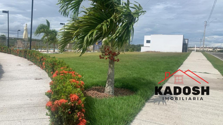 Imagem Terreno à Venda, 200 m² em Nova Esperança - Feira De Santana Imagem Terreno à Venda, 200 m² em Nova Esperança - Feira De Santana