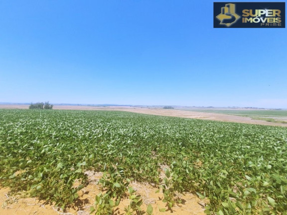 Imagem Imóvel com 3 Quartos à Venda, 21.000.000 m² em área Rural De Cachoeira Do Sul - Cachoeira Do Sul