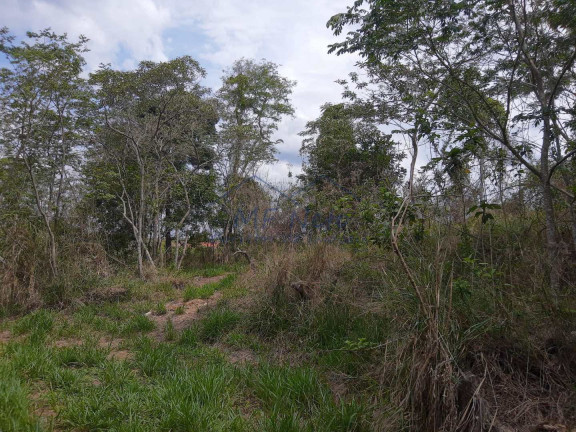 Imagem Fazenda à Venda, 145.200 m² em Zona Rural - Analândia Imagem Fazenda à Venda, 145.200 m² em Zona Rural - Analândia