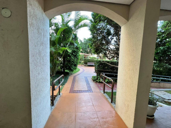 Imagem Apartamento com 4 Quartos à Venda, 62 m² em Vila Santa Catarina - São Paulo