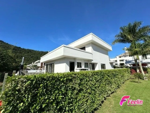 Imagem Casa de Condomínio com 4 Quartos à Venda, 288 m² em Cachoeira Do Bom Jesus - Florianópolis Imagem Casa de Condomínio com 4 Quartos à Venda, 288 m² em Cachoeira Do Bom Jesus - Florianópolis