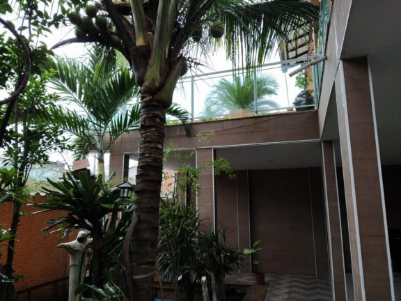 Imagem Imóvel com 3 Quartos para Alugar, 25 m² em Campo Grande - Rio De Janeiro Imagem Imóvel com 3 Quartos para Alugar, 25 m² em Campo Grande - Rio De Janeiro