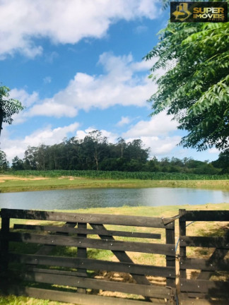 Imagem Imóvel com 7 Quartos à Venda, 120.000 m² em Monte Bonito - Pelotas Imagem Imóvel com 7 Quartos à Venda, 120.000 m² em Monte Bonito - Pelotas