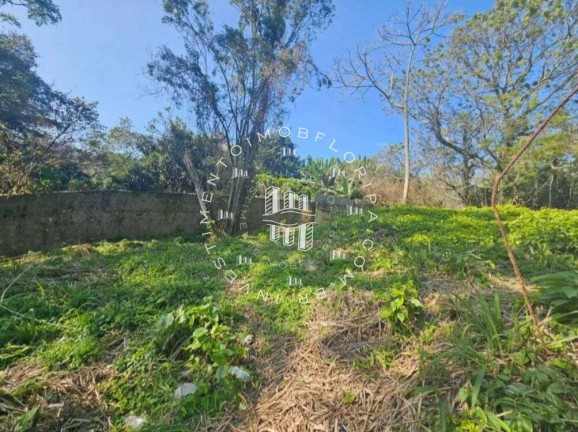 Imagem Terreno à Venda, 1.750 m² em Agronômica - Florianópolis Imagem Terreno à Venda, 1.750 m² em Agronômica - Florianópolis