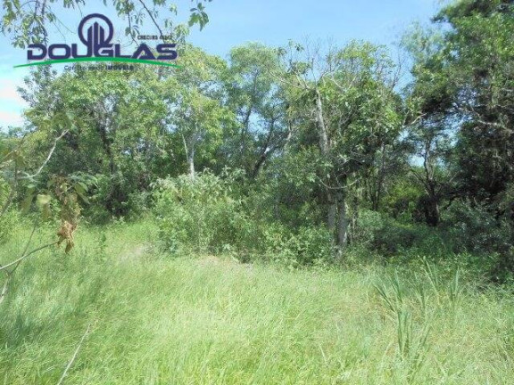 Imagem Imóvel Comercial à Venda, 13 m² em Viamão