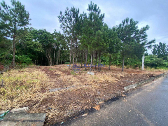 Imagem Terreno à Venda, 1.995 m² em Centro - Penha Imagem Terreno à Venda, 1.995 m² em Centro - Penha