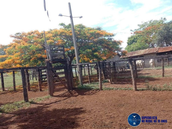 Imagem Chácara à Venda, 15 m² em Zona Rural - Matrinchã Imagem Chácara à Venda, 15 m² em Zona Rural - Matrinchã