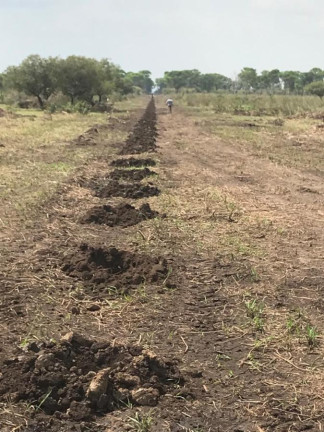 Imagem Fazenda à Venda, 3.100 m² em Rural - Porto Alegre Do Norte