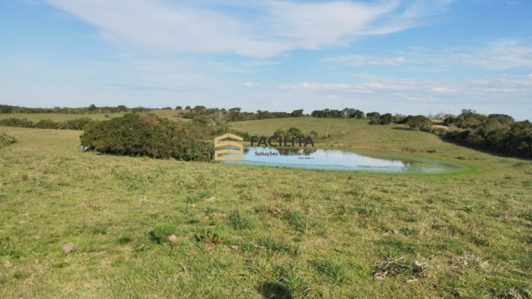 Imagem Imóvel com 3 Quartos à Venda, 760.000 m² em 3ºdistrito Boa Vista - Canguçu Imagem Imóvel com 3 Quartos à Venda, 760.000 m² em 3ºdistrito Boa Vista - Canguçu