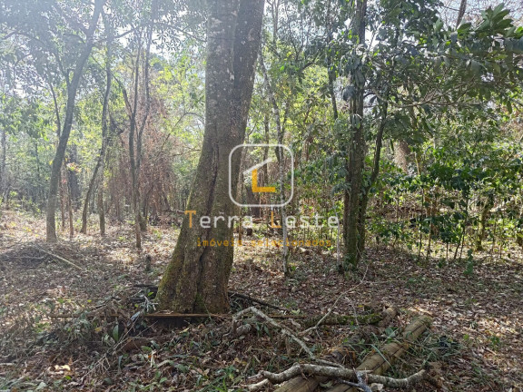 Terreno à Venda, 2.000 m² em Aranha - Brumadinho
