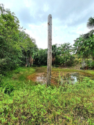 Imagem Imóvel Comercial à Venda, 400.000 m² em Manaus Imagem Imóvel Comercial à Venda, 400.000 m² em Manaus