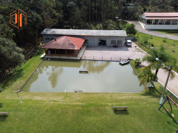 Imagem Imóvel à Venda, 4.000 m² em Borda Do Campo - São José Dos Pinhais Imagem Imóvel à Venda, 4.000 m² em Borda Do Campo - São José Dos Pinhais
