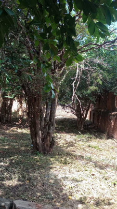 Imagem Terreno à Venda, 435 m² em Centro - Pirassununga Imagem Terreno à Venda, 435 m² em Centro - Pirassununga