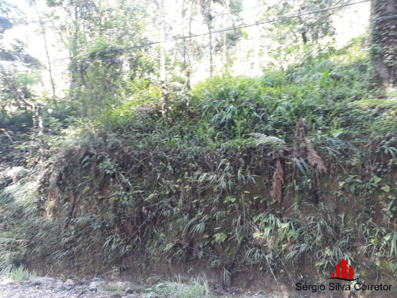 Imagem Terreno à Venda, 1 m² em Vila Capivari - Campos Do Jordão Imagem Terreno à Venda, 1 m² em Vila Capivari - Campos Do Jordão