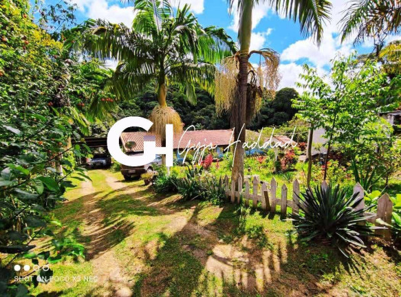 Imagem Chácara com 5 Quartos à Venda, 7.000 m² em Vila Elvio - Piedade