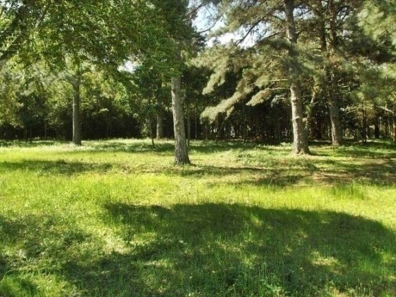 Imagem Chácara com 1 Quarto à Venda, 11 m² em águas Claras - Viamão