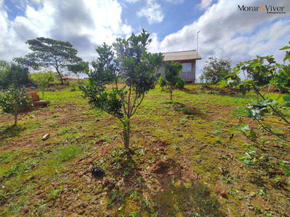 Imagem Chácara à Venda, 3.000 m² em Campestre Da Faxina - São José Dos Pinhais