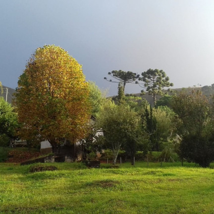Imagem Chácara à Venda, 200.000 m² em Centro - Itamonte