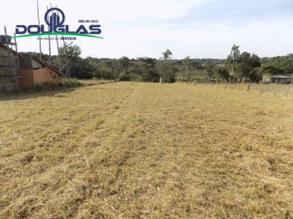 Imagem Chácara à Venda, 5.000 m² em Viamão
