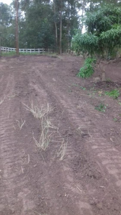 Imagem Imóvel com 1 Quarto à Venda, 8.177 m² em Tijuco Preto - Quadra