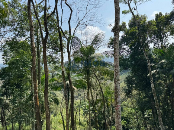 Imagem Chácara à Venda, 20.000 m² em Garibaldi - Jaraguá Do Sul Imagem Chácara à Venda, 20.000 m² em Garibaldi - Jaraguá Do Sul
