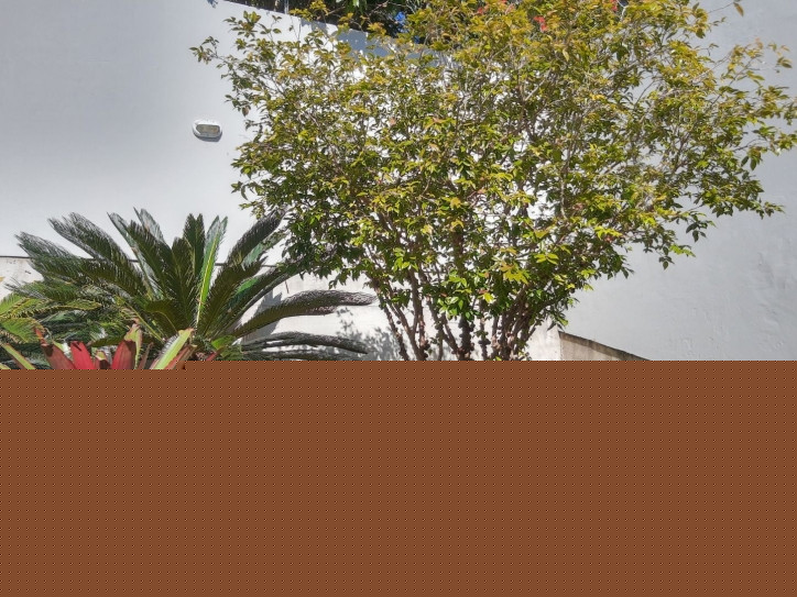 Casa com 3 Quartos à Venda, 200 m² em Jurerê - Florianópolis