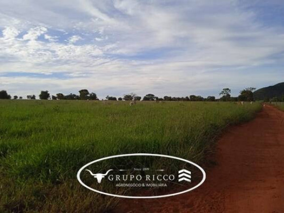 Imagem Fazenda à Venda, em Zona Rural - Montes Claros De Goiás Imagem Fazenda à Venda, em Zona Rural - Montes Claros De Goiás