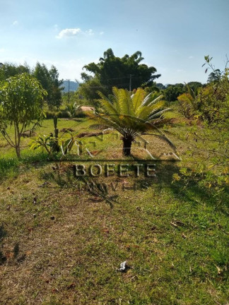 Imagem Imóvel com 4 Quartos à Venda, 10.000 m² em Mirante - Bofete Imagem Imóvel com 4 Quartos à Venda, 10.000 m² em Mirante - Bofete